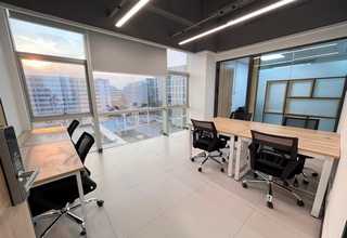 青山区名贵苗木种子生产厂家