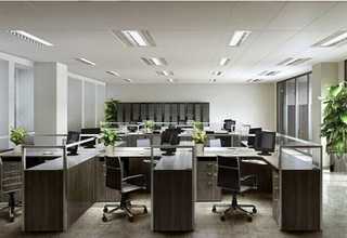 桦甸鸡冠花销售