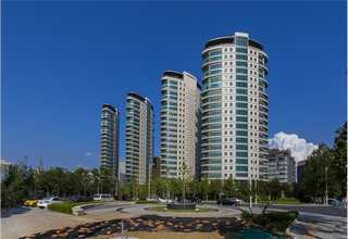 济南氯二氟磷酸二乙酯